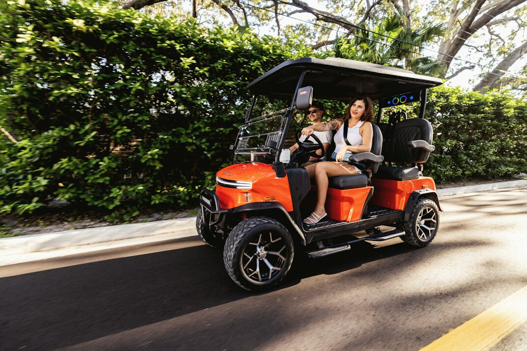 family driving electric car