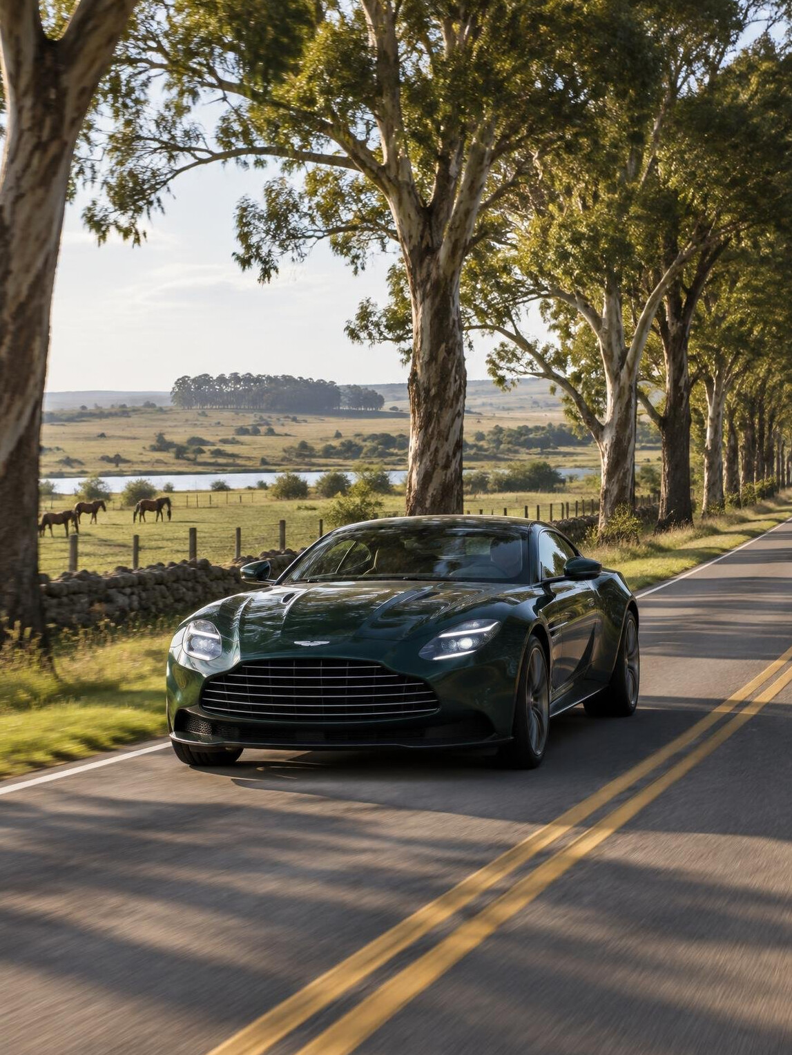 Luxury car on a road with trees